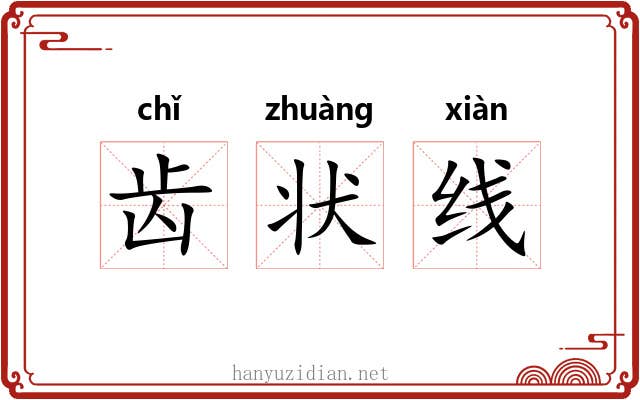 齿状线