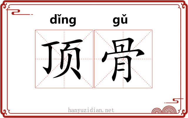 顶骨 顶骨