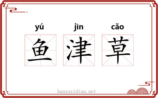 鱼津草