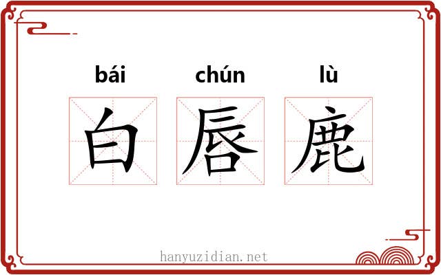 白唇鹿 白唇鹿