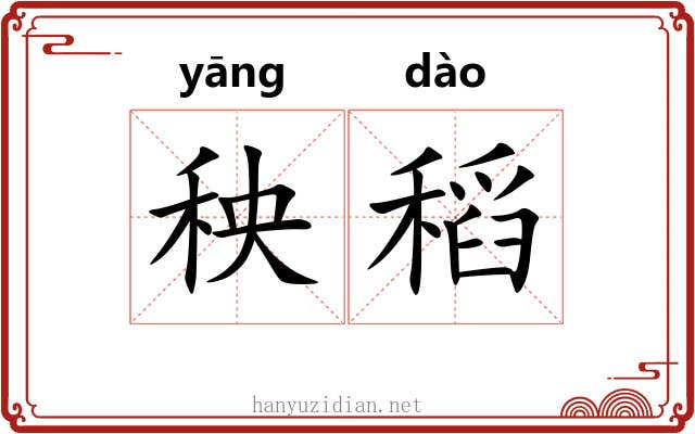 秧稻