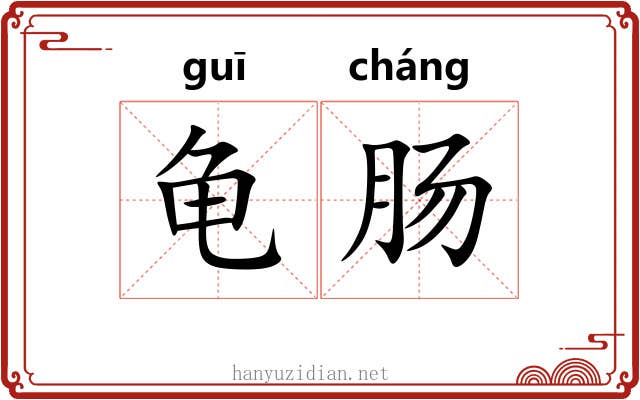 龟肠