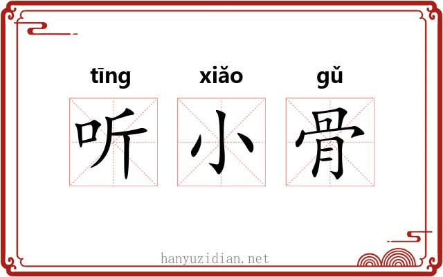 听小骨 听小骨