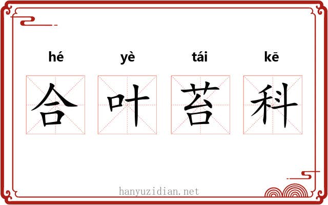 合叶苔科