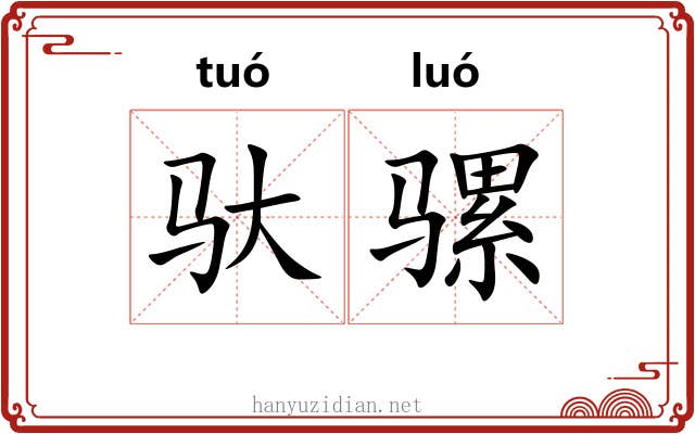 驮骡