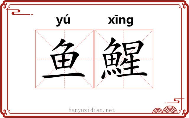 鱼鯹