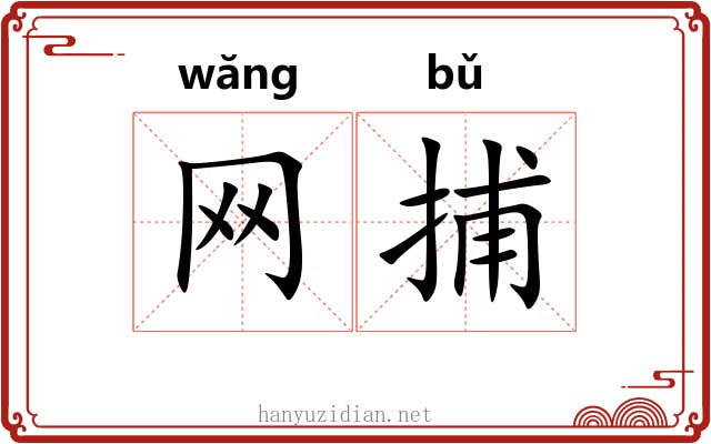 网捕