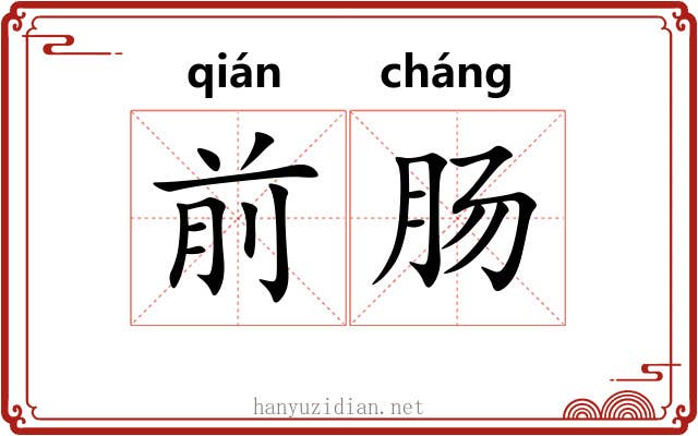 前肠