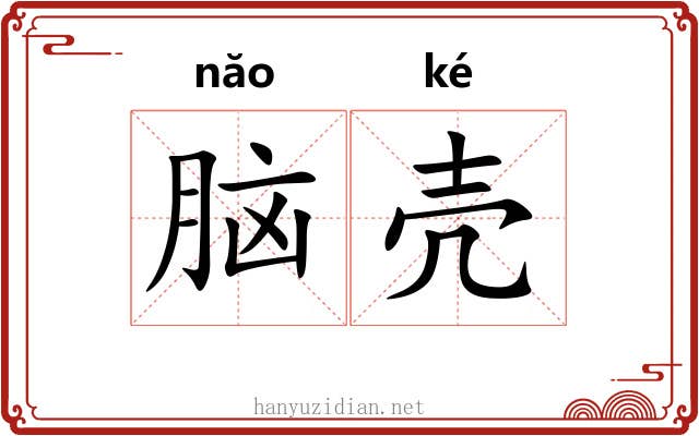 脑壳