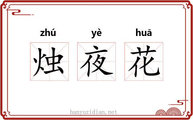 烛夜花 烛夜花