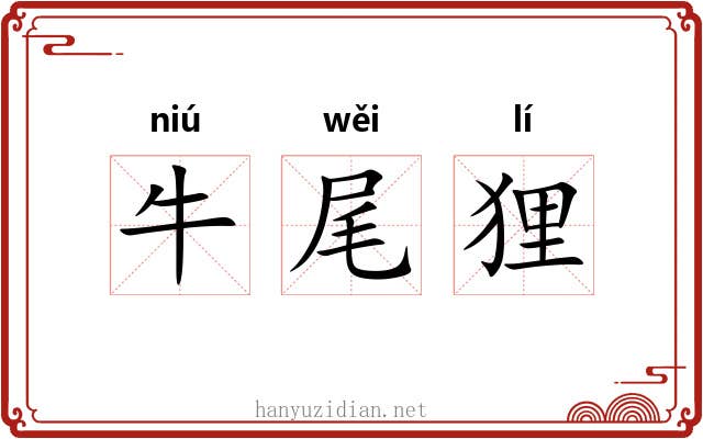 牛尾狸