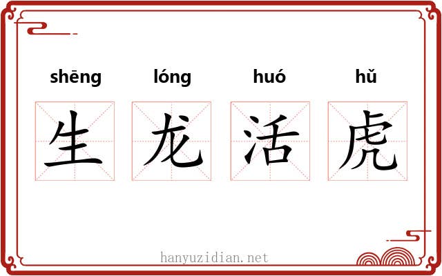 生龙活虎 生龙活虎
