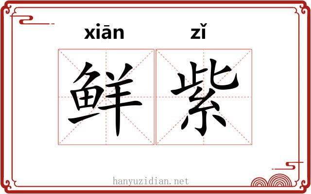 鲜紫