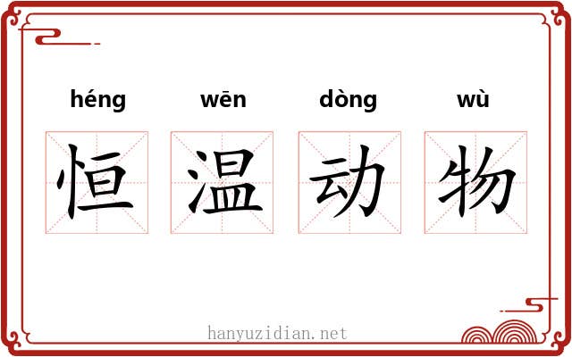 恒温动物 恒温动物