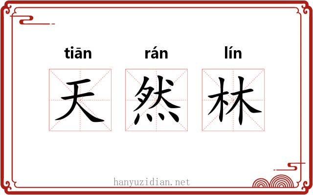 天然林 天然林
