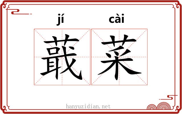 蕺菜 蕺菜