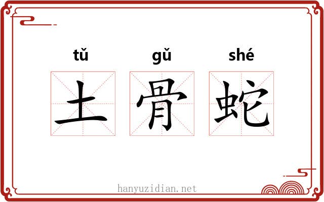 土骨蛇 土骨蛇