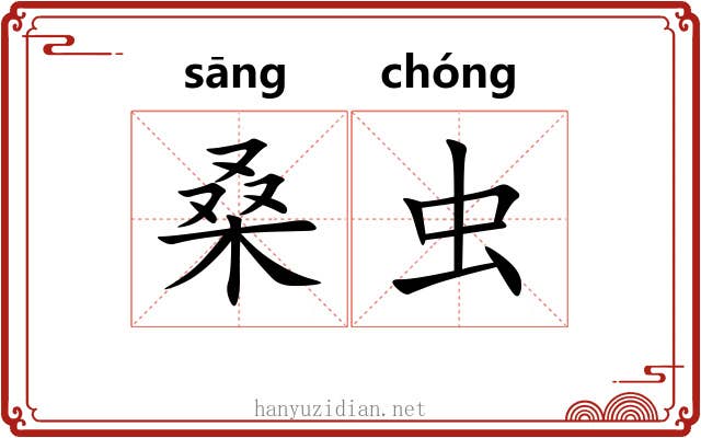 桑虫