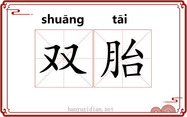 双胎