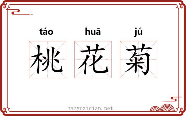 桃花菊