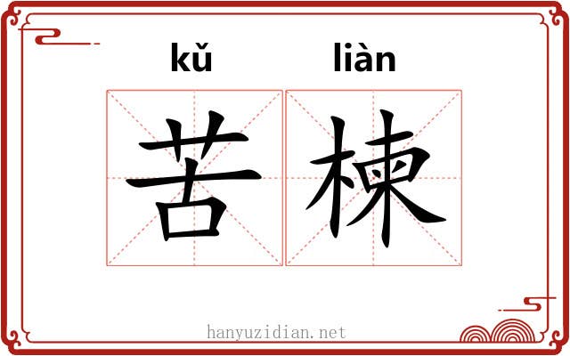 苦楝