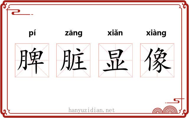 脾脏显像 脾脏显像