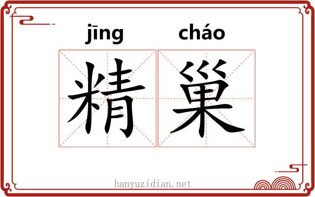 精巢 精巢