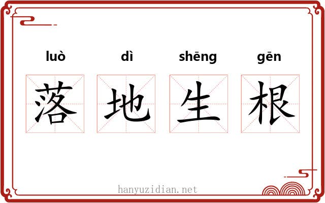 落地生根 落地生根