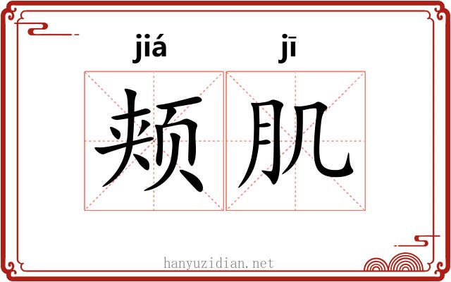 颊肌
