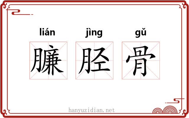 臁胫骨 臁胫骨