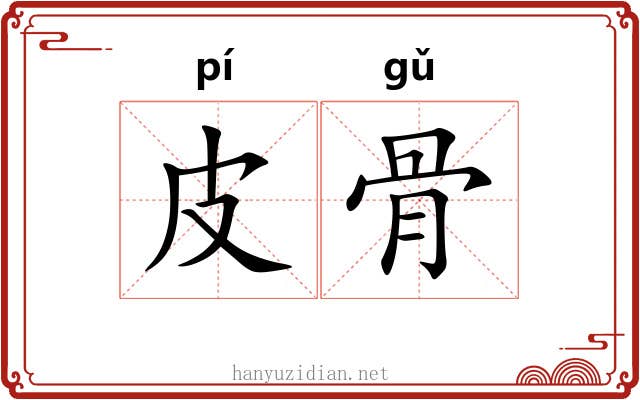 皮骨 皮骨