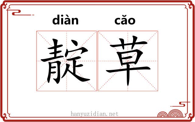 靛草 靛草
