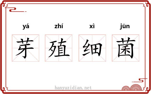 芽殖细菌 芽殖细菌