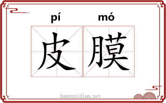 皮膜