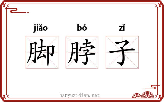 脚脖子 脚脖子