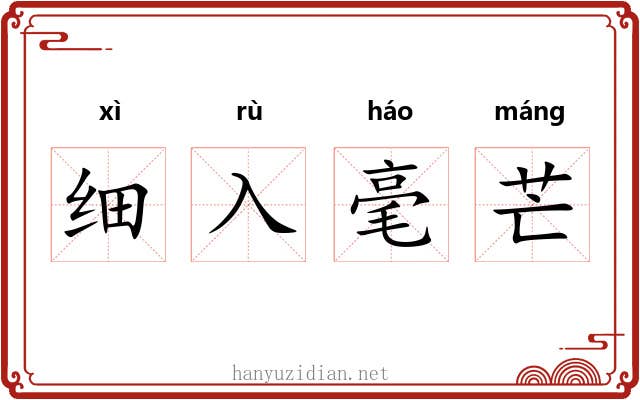 细入毫芒