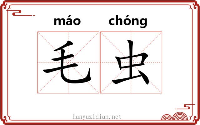 毛虫 毛虫