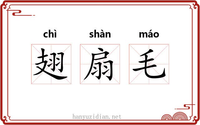 翅扇毛 翅扇毛