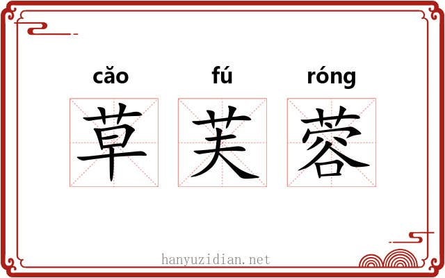 草芙蓉 草芙蓉