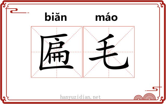 匾毛 匾毛