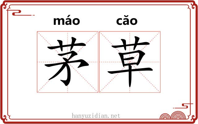 茅草 茅草