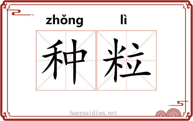 种粒