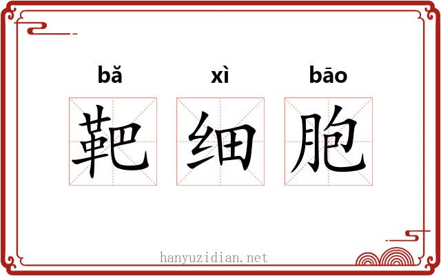 靶细胞 靶细胞
