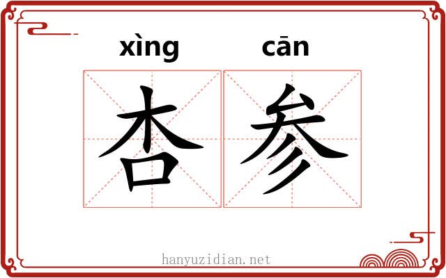 杏参 杏参