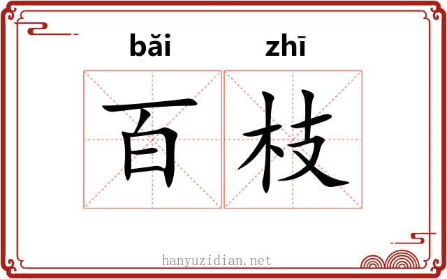 百枝