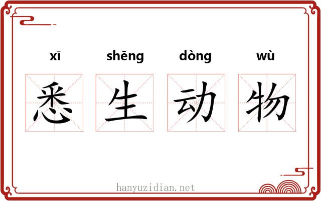 悉生动物
