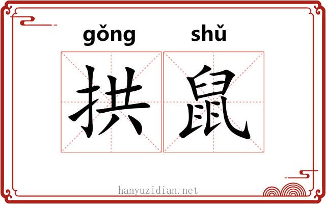 拱鼠