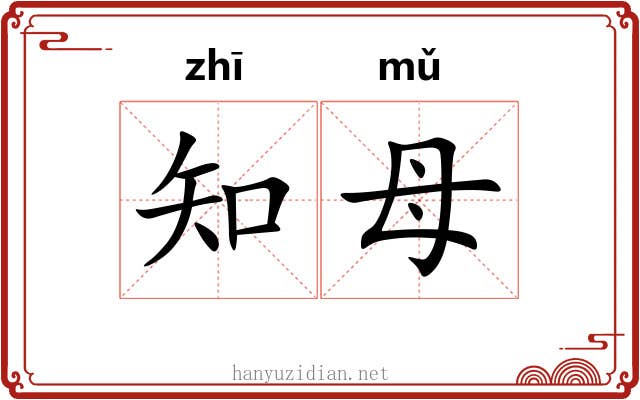 知母