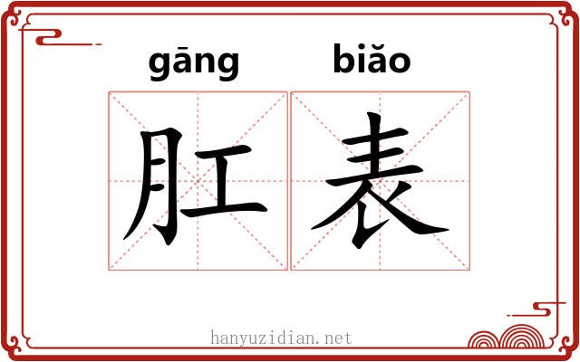 肛表 肛表
