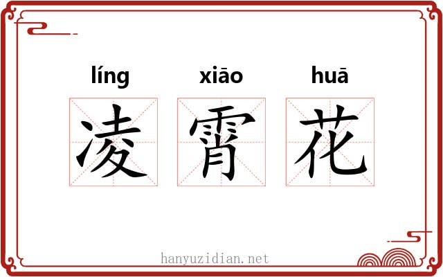 凌霄花 凌霄花